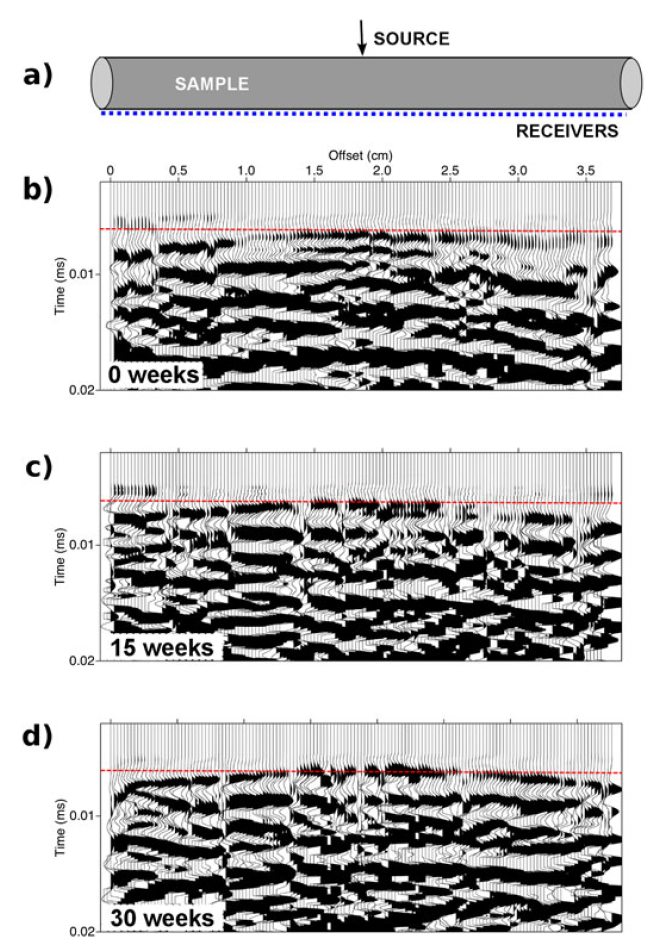 Time lapse laser-ultrasonic scans on a basalt sample. Note the direct P-wave arrival time is shorter (faster velocities) after 15 and 30 weeks of CO2-water-basalt reactions