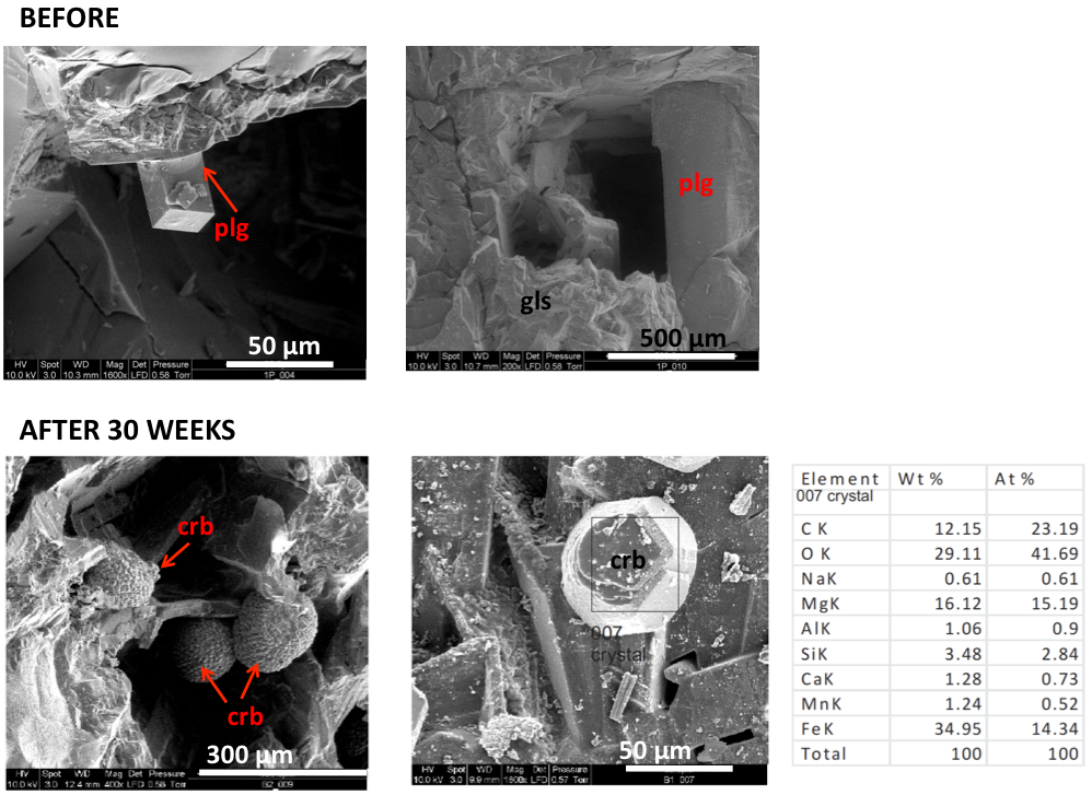 SEM images of basalt samples and carbonate precipitations. 